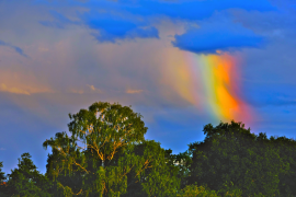 arcobaleno 35 lista
